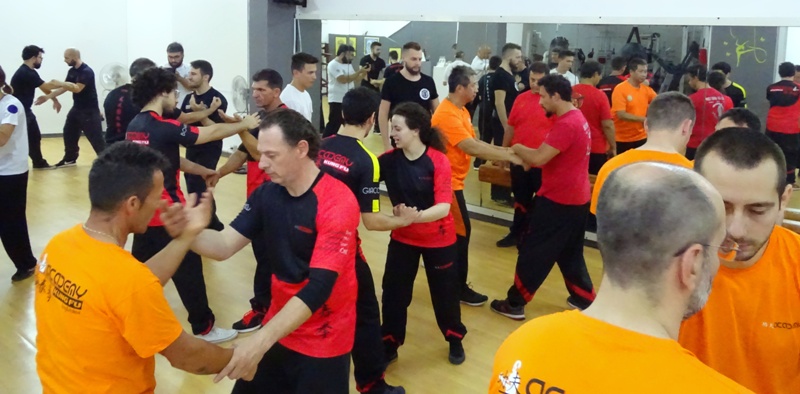 Kung Fu Academy di Sifu Mezzone Caserta Seminario di Weng Chun Tang Yik con GM Sunny So in Italia presso la scuola di arti marziali di wing chun e kung fu a Caserta (2)